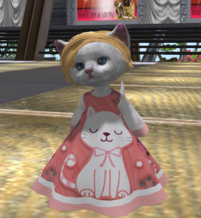cat-dress